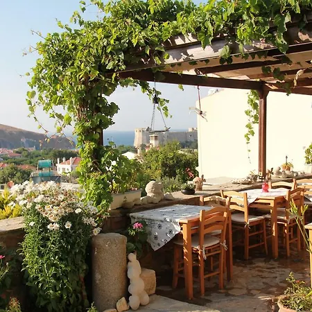 Hotel Alesta *