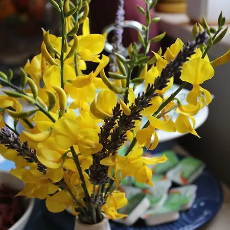 Hotel Alesta Bozcaada