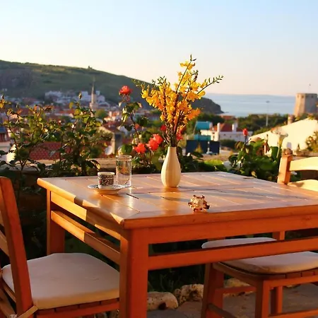 Hotel Alesta