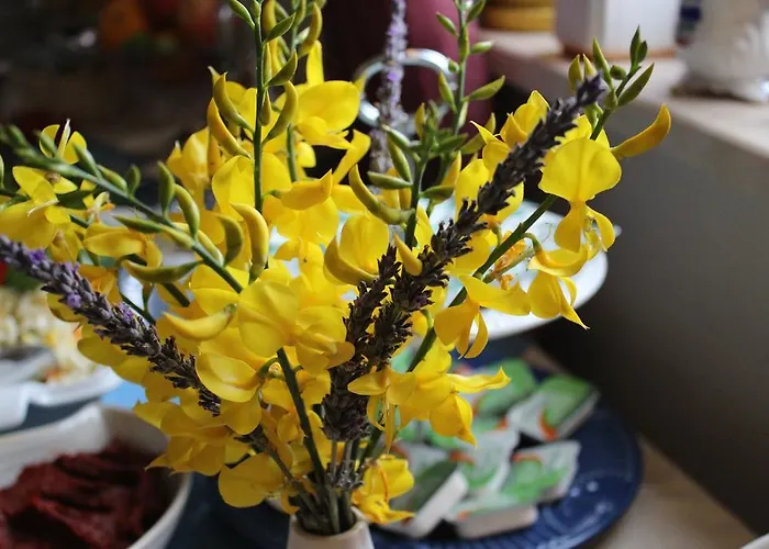 Hotel Alesta Bozcaada